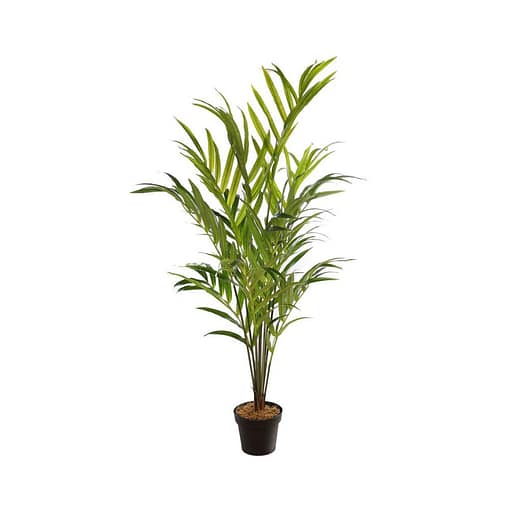 Planta artificial decorativa Palmera Kentia 155 cm