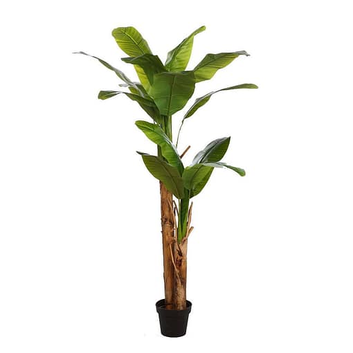 Planta artificial decorativa Platanera bananera 180 cm